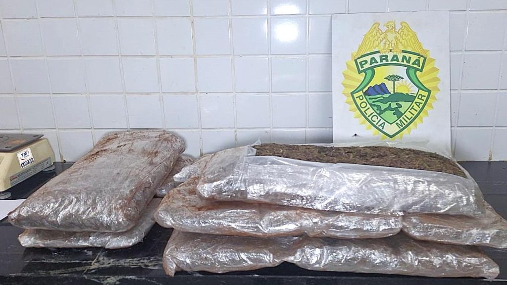 Polícia Militar e Polícia Federal apreendem capulhos de maconha em bagagens de ônibus interestadual Polícia Militar e Polícia Federal apreendem capulhos de maconha em bagagens de ônibus interestadual