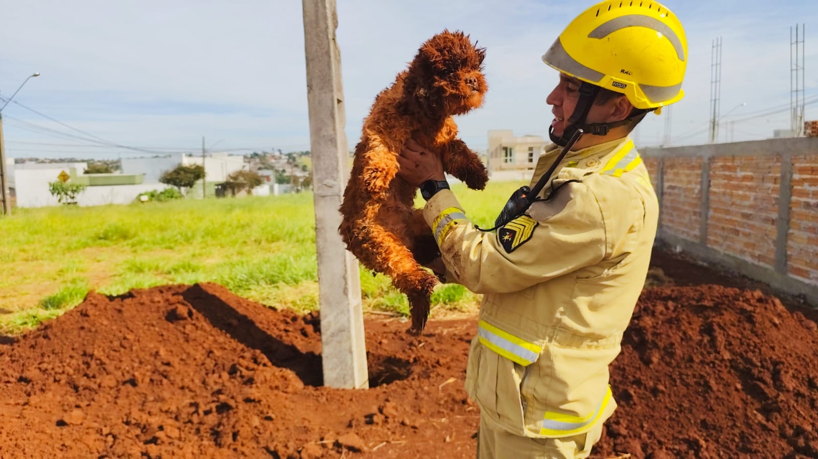 Bombeiro comenta resgate e faz apelo para adoção de cachorrinha que caiu em buraco Bombeiro comenta resgate e faz apelo para adoção de cachorrinha que caiu em buraco