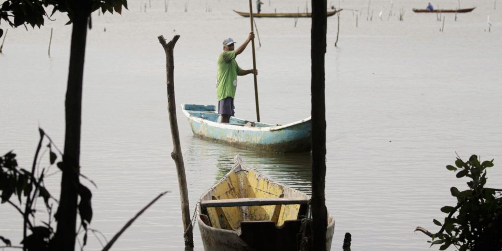 Conferências estaduais de aquicultura e pesca serão em junho e jullho