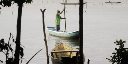 Conferências estaduais de aquicultura e pesca serão em junho e jullho