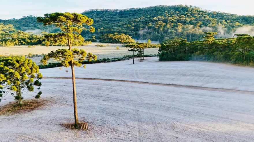 “Nevou” no Paraná? Cenário branco chama atenção e imagens impressionam