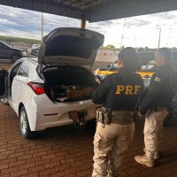 Imagem referente a Homem é preso com 100 kg de maconha durante fiscalização da PRF na BR-277, em Cascavel