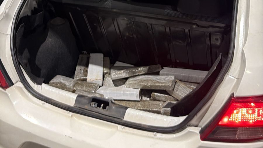Carga de maconha carregada em Curitiba é apreendida na BR-101 em Santa Catarina