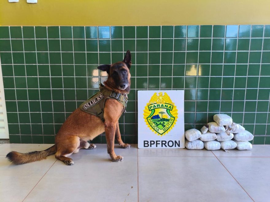 BPFRON prende mulher e apreende mais de 6 quilos de haxixe em carro de aplicativo em Guaíra