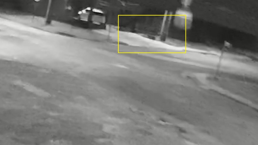 Câmera registra ação de ladrão que caiu de poste durante tentativa de furto em Cascavel