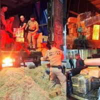 Imagem referente a PM e PF apreendem mais de 4 toneladas de maconha escondidas em carreta na BR-277