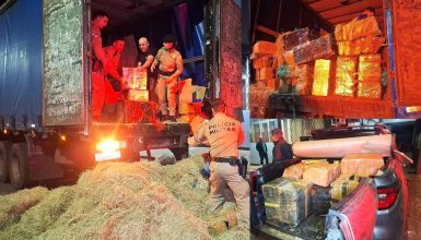 Imagem referente a PM e PF apreendem mais de 4 toneladas de maconha escondidas em carreta na BR-277