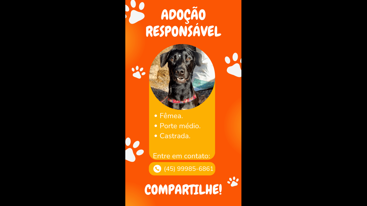 Cachorra é encontrada no bairro Parque São Paulo Cachorra é encontrada no bairro Parque São Paulo