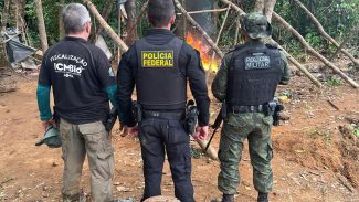 Garimpos ilegais no Amapá e Pará são alvos de operação da PF