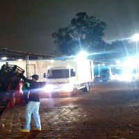 Imagem referente a Entre caminhões e hortifrúti: a rotina de quem trabalha há décadas na Ceasa