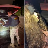 Imagem referente a PRF apreende mais de 250 kg de skunk após perseguição na BR-277; motorista usava manequim para enganar polícia