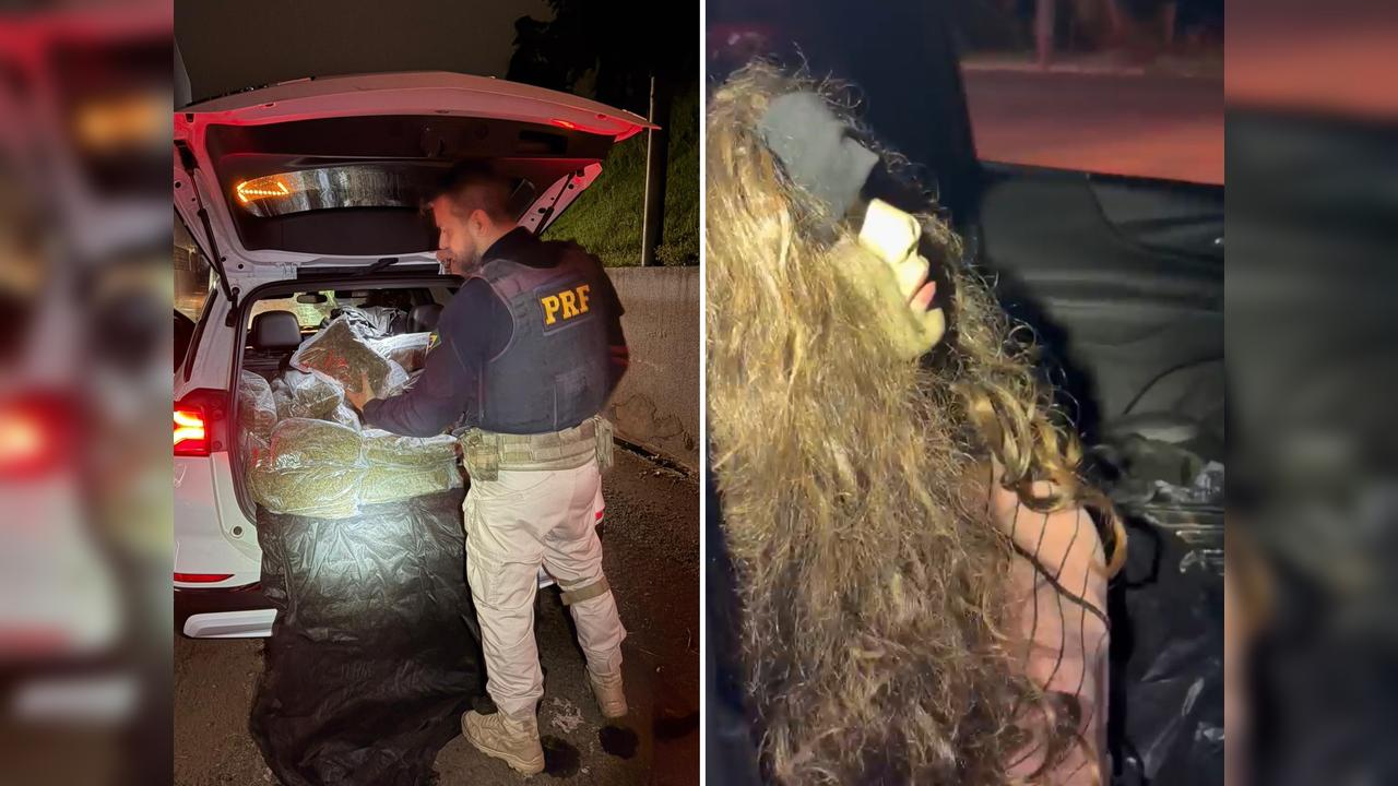 PRF apreende mais de 250 kg de skunk após perseguição na BR-277; motorista usava manequim para enganar polícia PRF apreende mais de 250 kg de skunk após perseguição na BR-277; motorista usava manequim para enganar polícia