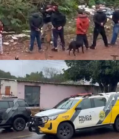 Imagem referente a Polícia Militar estoura ponto de venda de drogas denunciado pela CGN no Cancelli