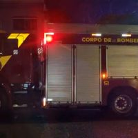 Imagem referente a Cadê o gambá? Bombeiros são acionados, mas não encontram gambá mencionado por moradores