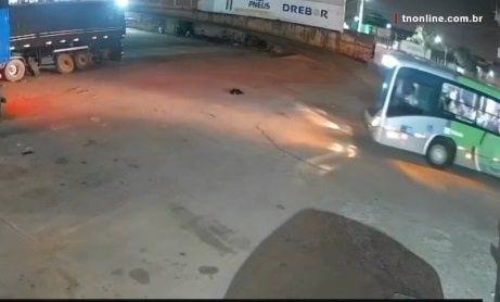 Cachorro morre atropelado por ônibus enquanto dormia em pátio de borracharia