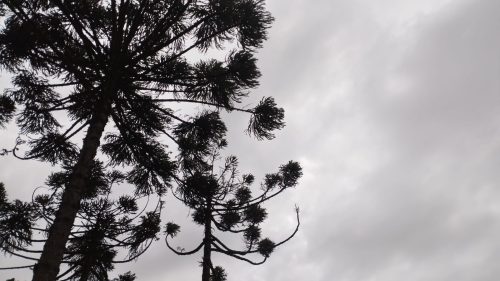 “Dia de São Pega” sem chuva, mas com friozinho e céu fechado em Cascavel