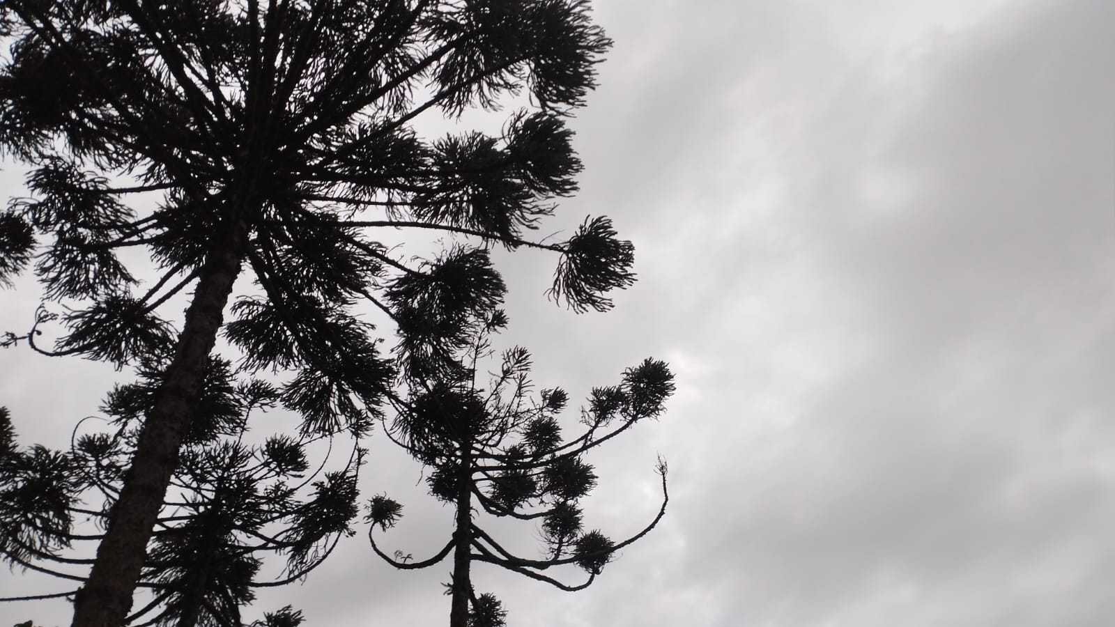 “Dia de São Pega” sem chuva, mas com friozinho e céu fechado em Cascavel