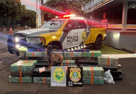 Quase uma tonelada de maconha e centenas de comprimidos de Ecstasy são apreendidos em Santa Helena Imagem referente a Quase uma tonelada de maconha e centenas de comprimidos de Ecstasy são apreendidos em Santa Helena
