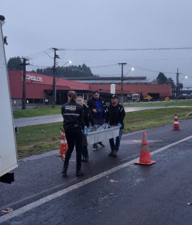 Imagem referente a Identificado homem que morreu atropelado na BR-277, em Cascavel