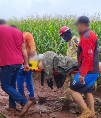 Imagem referente a Vítima é baleada em meio a milharal em área rural de Cascavel