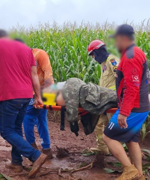 Imagem referente a Vítima é baleada em meio a milharal em área rural de Cascavel