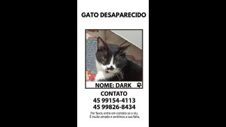 Imagem referente a Gato Dark desapareceu no bairro Jardim Veredas