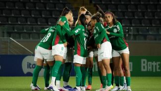 Palmeiras derrota Botafogo e se aproxima da liderança no BR Feminino Palmeiras derrota Botafogo e se aproxima da liderança no BR Feminino