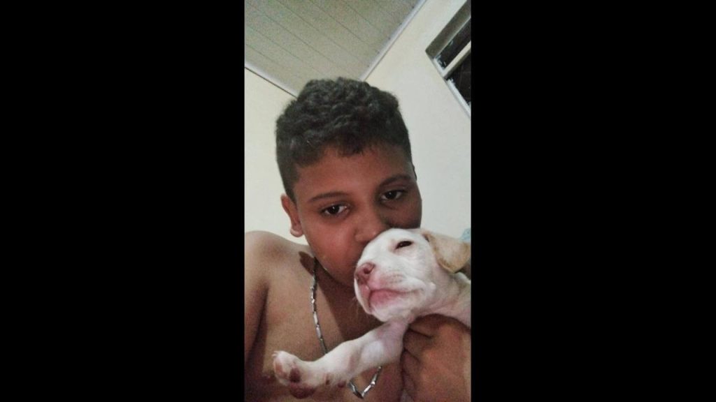 Cachorro Lucas desapareceu no bairro Morumbi
