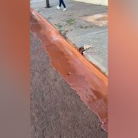 Imagem referente a Barro toma conta de rua no Centro de Cascavel e moradores reclamam da situação
