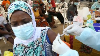 Vacina contra cepa do ebola na África pode demorar até 9 meses