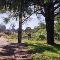 Imagem referente a “Estão destruindo tudo aqui”: moradores reclamam do corte de árvores para construção de ciclovia no Santa Cruz