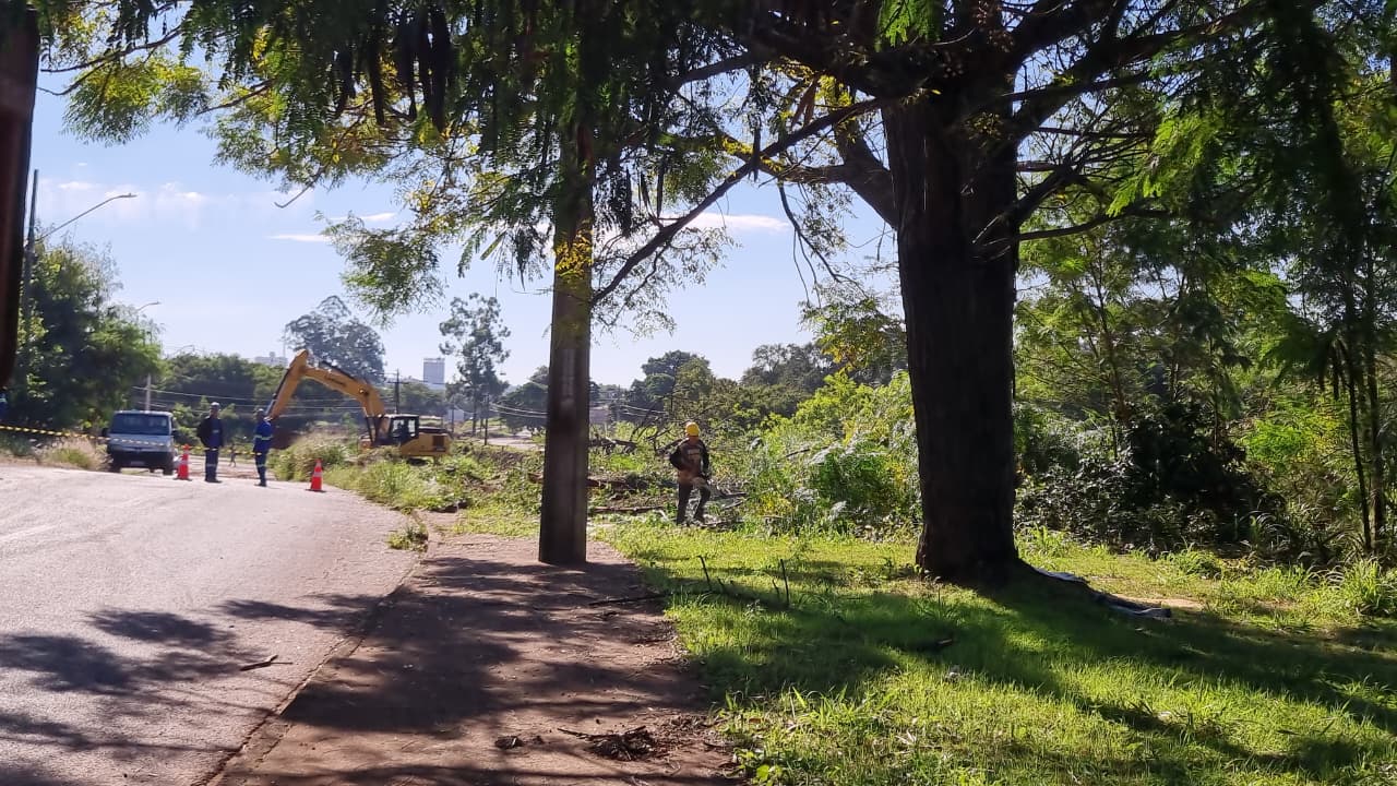 Imagem referente a “Estão destruindo tudo aqui”: moradores reclamam do corte de árvores para construção de ciclovia no Santa Cruz