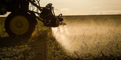 Agronegócio poderá usar linha de crédito do FAT para inovação Imagem referente a Agronegócio poderá usar linha de crédito do FAT para inovação