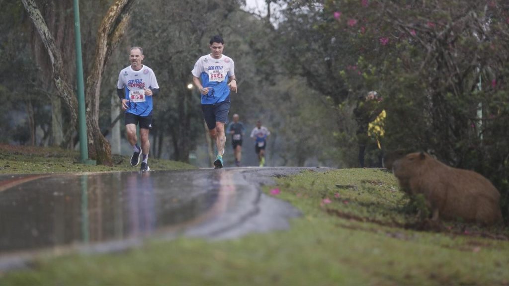 Inscrições para corrida “Ser Feliz Sem Drogas” serão abertas no fim desse mês em Cascavel