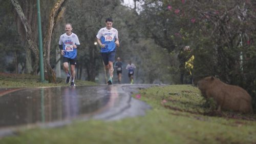 Inscrições para corrida “Ser Feliz Sem Drogas” serão abertas no fim desse mês em Cascavel Imagem referente a Inscrições para corrida “Ser Feliz Sem Drogas” serão abertas no fim desse mês em Cascavel