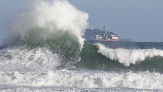 Natureza é aposta para reduzir efeitos extremos do clima nas cidades