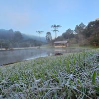 Imagem referente a Geada e temperaturas negativas marcam manhã gelada no Paraná; chuva chega nesta sexta-feira