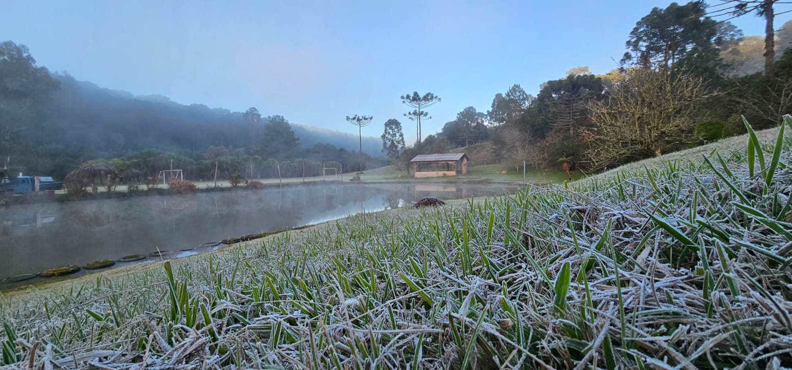 Imagem referente a Geada e temperaturas negativas marcam manhã gelada no Paraná; chuva chega nesta sexta-feira