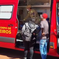 Imagem referente a Menino de 4 anos é atacado por cachorro a caminho da escola e sofre corte no supercílio