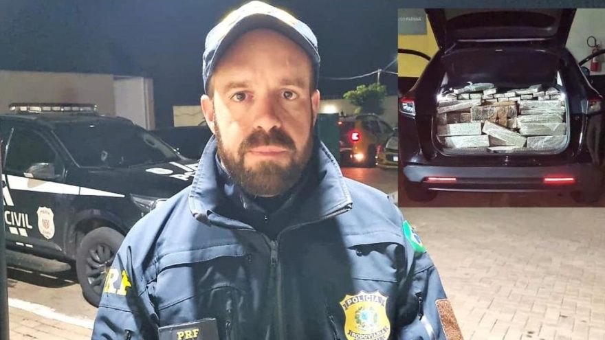 PRF revela detalhes da apreensão milionária de maconha na BR-369