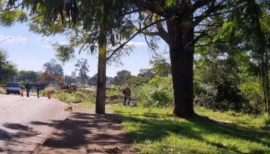 Imagem referente a Após reclamação de moradores, Prefeitura de Cascavel se pronuncia sobre retirada de árvores para construção de parque