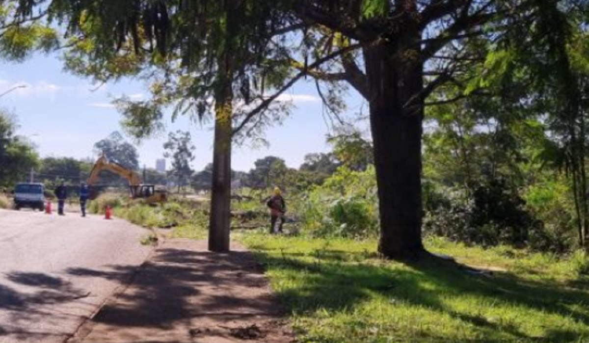 Após reclamação de moradores, Prefeitura de Cascavel se pronuncia sobre retirada de árvores para construção de parque