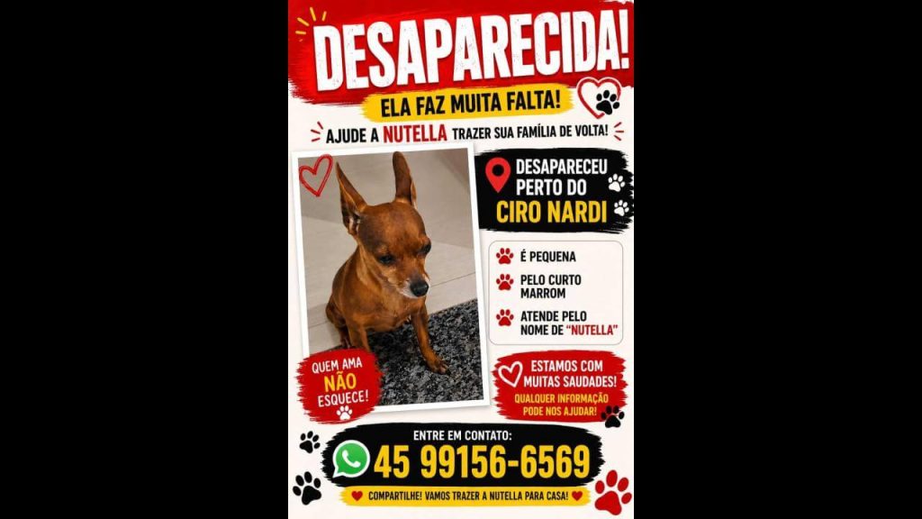 Cachorra Nutella desapareceu no bairro Maria Luiza