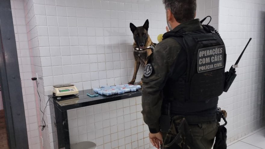 Adolescente de 16 anos é apreendida com haxixe em operação do K9 Becky, da PCPR