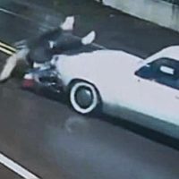 Imagem referente a Câmera flagra reação de motorista após colisão entre Chevette e Biz