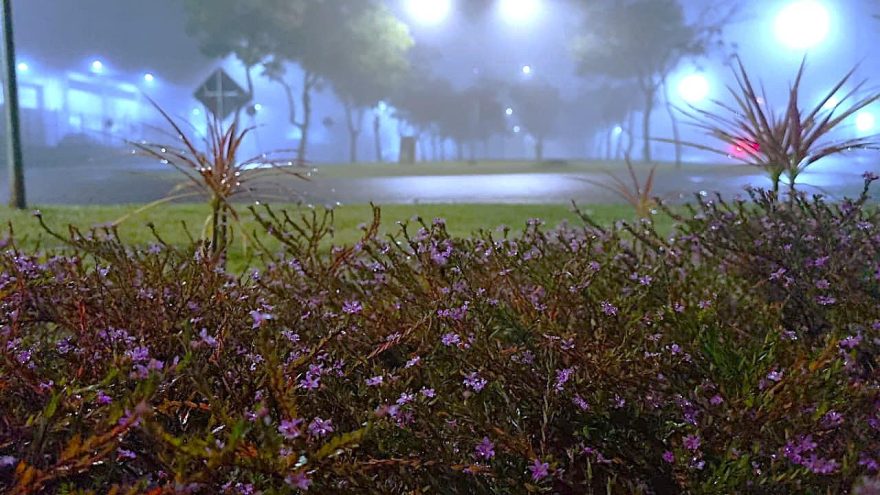 Sábado amanhece com tempo fechado e forte neblina em Cascavel