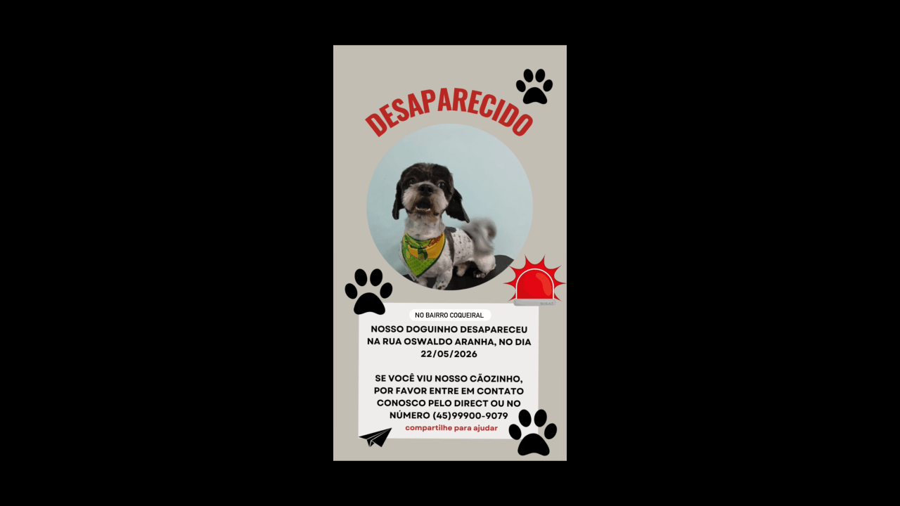 Cachorro FREDERICO (Fred) desapareceu no bairro Alto Alegre