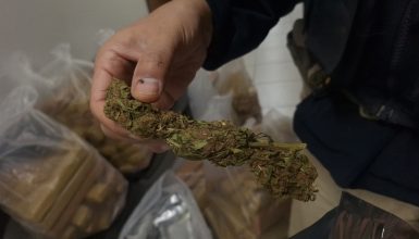 Imagem referente a Jovens são detidos transportando grande carga de maconha em Cascavel