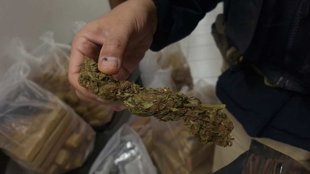 Imagem referente a Jovens são detidos transportando grande carga de maconha em Cascavel