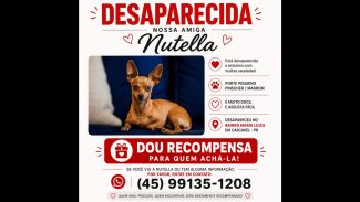 Imagem referente a Cachorra Nutella desapareceu no bairro Maria Luiza